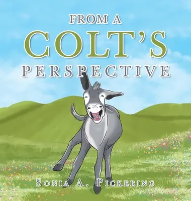 Z pohľadu žiaka - From a Colt's Perspective