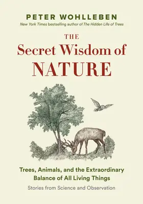Tajná sieť prírody: Príbehy z vedy a pozorovania: Stromy, zvieratá a neobyčajná rovnováha všetkého živého - The Secret Network of Nature: Trees, Animals, and the Extraordinary Balance of All Living Things-- Stories from Science and Observation