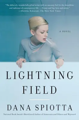 Bleskové pole - Lightning Field