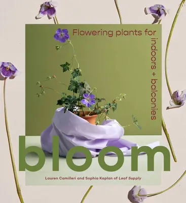 Rozkvet: Kvitnúce rastliny do interiéru a na balkón - Bloom: Flowering Plants for Indoors and Balconies