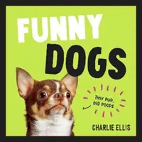 Zábavné psy - veselá zbierka najhlúpejších psov na svete a najrelevantnejších meme - Funny Dogs - A Hilarious Collection of the World's Silliest Dogs and Most Relatable Memes