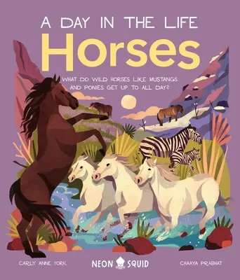 Kone (Deň v živote): Čo robia divoké kone ako mustangy a poníky celý deň? - Horses (a Day in the Life): What Do Wild Horses Like Mustangs and Ponies Get Up to All Day?