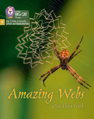 Úžasné pavučiny - Fáza 5, sada 2 - Amazing Webs - Phase 5 Set 2