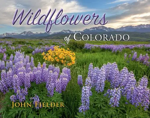 Divoké kvety Colorada - Wildflowers of Colorado