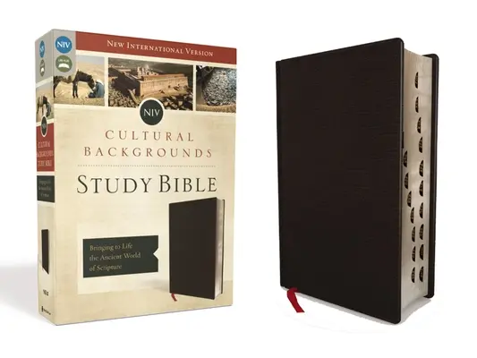 NIV, Študijná biblia s kultúrnym pozadím, indexovaná, lepená koža: Oživenie starovekého sveta Písma - NIV, Cultural Backgrounds Study Bible, Indexed, Bonded Leather: Bringing to Life the Ancient World of Scripture