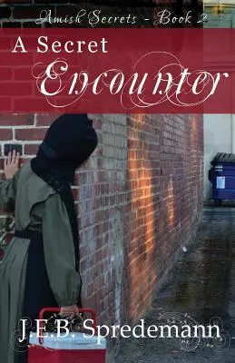 Tajné stretnutie (Amišské tajomstvá #2) - A Secret Encounter (Amish Secrets #2)