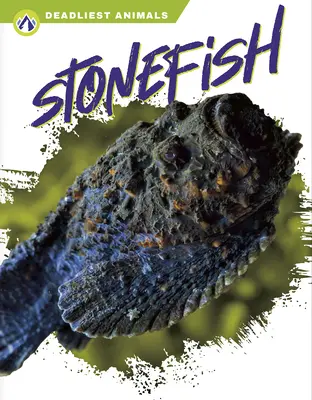 Kamenná ryba - Stonefish