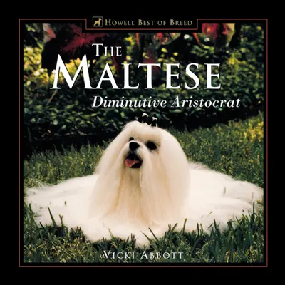 Malťan: Aristokratka v malomeste - The Maltese: Diminutive Aristocrat