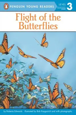 Let motýľov - Flight of the Butterflies