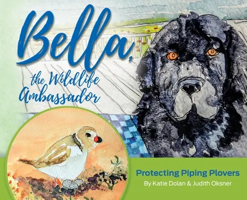 Bella, veľvyslankyňa divokej prírody: Chránime dudka chochlatého - Bella, the Wildlife Ambassador: Protecting Piping Plovers