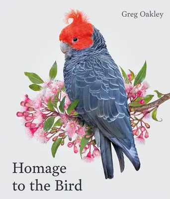 Pocta vtákovi - Homage to the Bird
