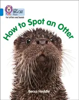 Staň sa odborníkom na vydry: 4. skupina/modrá - Be an Otter Expert: Band 4/Blue