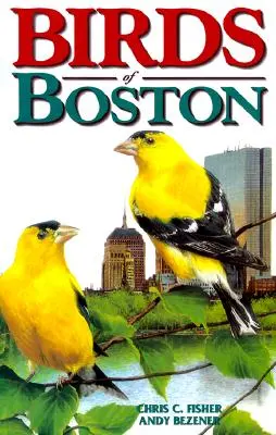 Vtáky Bostonu - Birds of Boston