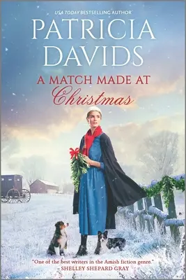 Zápas vytvorený na Vianoce - A Match Made at Christmas