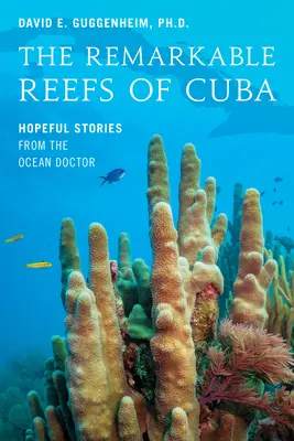 Pozoruhodné útesy Kuby: Príbehy plné nádeje od oceánskeho lekára - The Remarkable Reefs of Cuba: Hopeful Stories from the Ocean Doctor