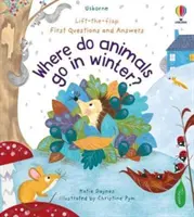 Prvé otázky a odpovede: Kam chodia zvieratá v zime? - First Questions and Answers: Where Do Animals Go In Winter?