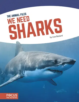 Potrebujeme žraloky - We Need Sharks
