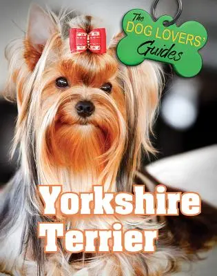 Yorkshirský teriér - Yorkshire Terrier