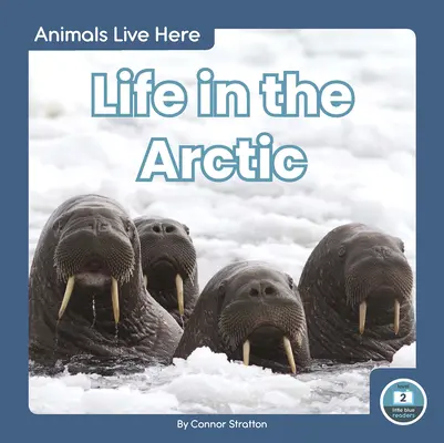 Život v Arktíde - Life in the Arctic
