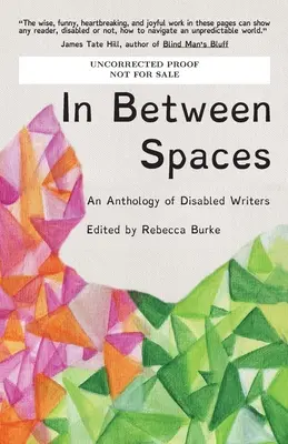 V medzipriestore: Antológia spisovateľov so zdravotným postihnutím - In Between Spaces: An anthology of disabled writers