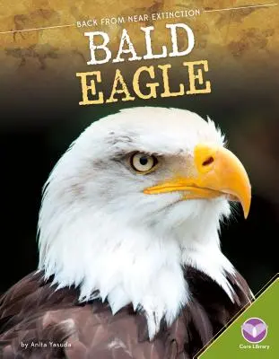 Orol skalný - Bald Eagle
