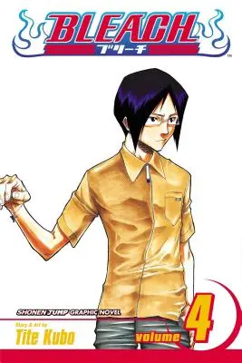 Bleach, zv. 4: zväzok 4 - Bleach, Vol. 4: Volume 4