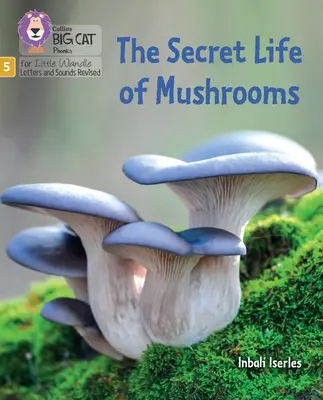 Tajný život húb - 5. fáza 4. súbor Napínač a výzva - Secret Life of Mushrooms - Phase 5 Set 4 Stretch and Challenge