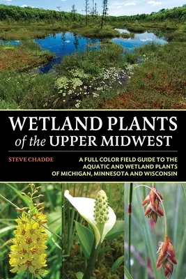 Mokraďové rastliny horného stredozápadu - Wetland Plants of the Upper Midwest