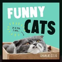 Zábavné mačky - veselá zbierka najzábavnejších mačiek na svete a najrelevantnejších meme - Funny Cats - A Hilarious Collection of the World's Funniest Felines and Most Relatable Memes