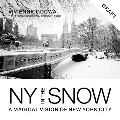 New York na snehu: Magická vízia New Yorku - New York in the Snow: A Magical Vision of New York City