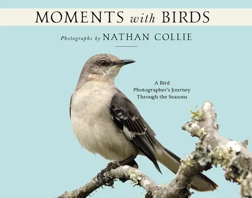 Chvíle s vtákmi: Chvíľky s vtákmi: Cesta fotografa vtákov v priebehu ročných období - Moments with Birds: A Bird Photographer's Journey Through the Seasons