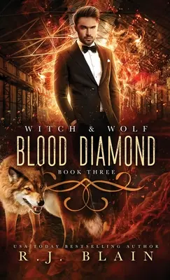 Krvavý diamant: Román o čarodejnici a vlkovi - Blood Diamond: A Witch & Wolf Novel
