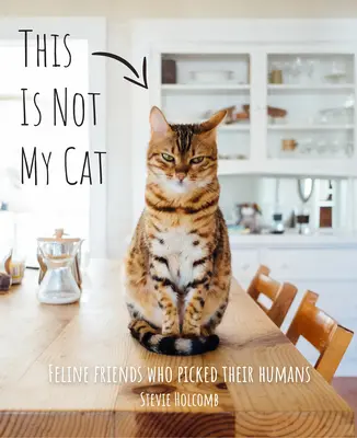 Toto nie je moja mačka: Kočičí priatelia, ktorí si vybrali svojich ľudí - This Is Not My Cat: Feline Friends Who Picked Their Humans