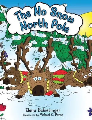 Severný pól bez snehu - The No Snow North Pole
