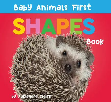 Detské zvieratká - prvá kniha o tvaroch - Baby Animals First Shapes Book