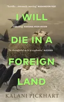 Zomriem v cudzej krajine - I Will Die in a Foreign Land