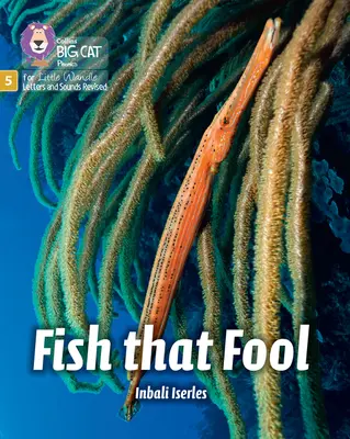 Fish that Fool - Phase 5 Set 1