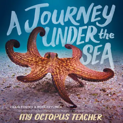 Cesta pod morskú hladinu - A Journey Under the Sea