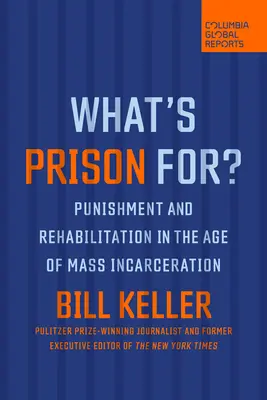 Na čo je väzenie: trest a rehabilitácia v ére masového väznenia - What's Prison For?: Punishment and Rehabilitation in the Age of Mass Incarceration