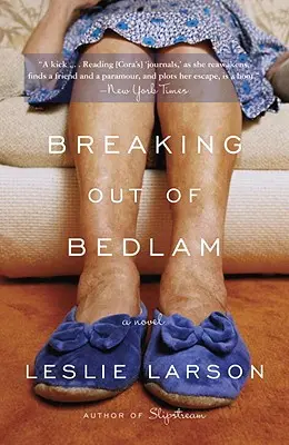 Vymanenie sa z Bedlamu - Breaking Out of Bedlam