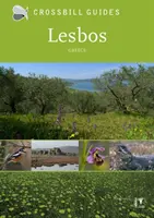 Lesbos - Grécko - Lesbos - Greece