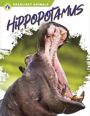 Hroch - Hippopotamus