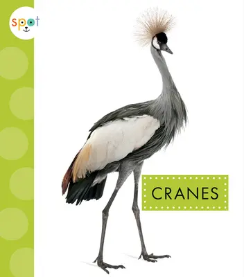 Žeriavy - Cranes