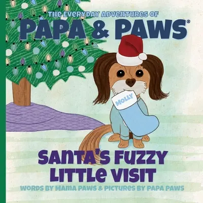 Santova malá chlpatá návšteva - Santa's Fuzzy Little Visit
