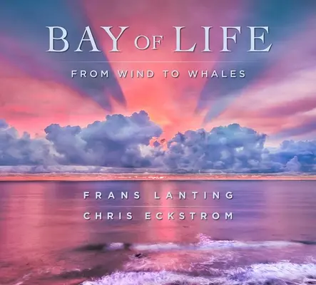 Zátoka života: Od vetra k veľrybám - Bay of Life: From Wind to Whales