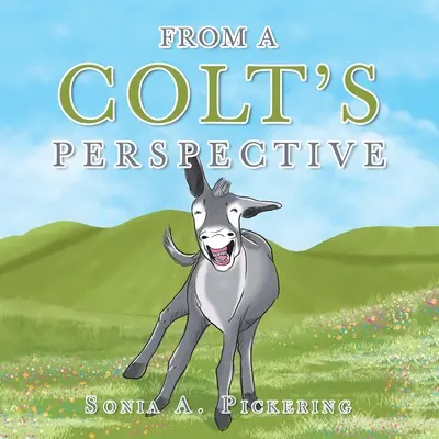 Z perspektívy koltu - From a Colt's Perspective
