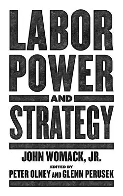 Pracovná sila a stratégia - Labor Power and Strategy