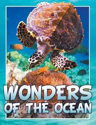 Zázraky oceánu - Wonders of the Ocean
