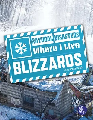 Blizzardy - Blizzards