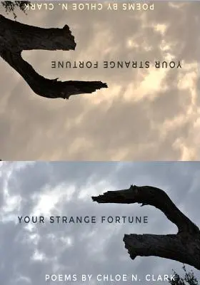 Tvoje zvláštne šťastie - Your Strange Fortune